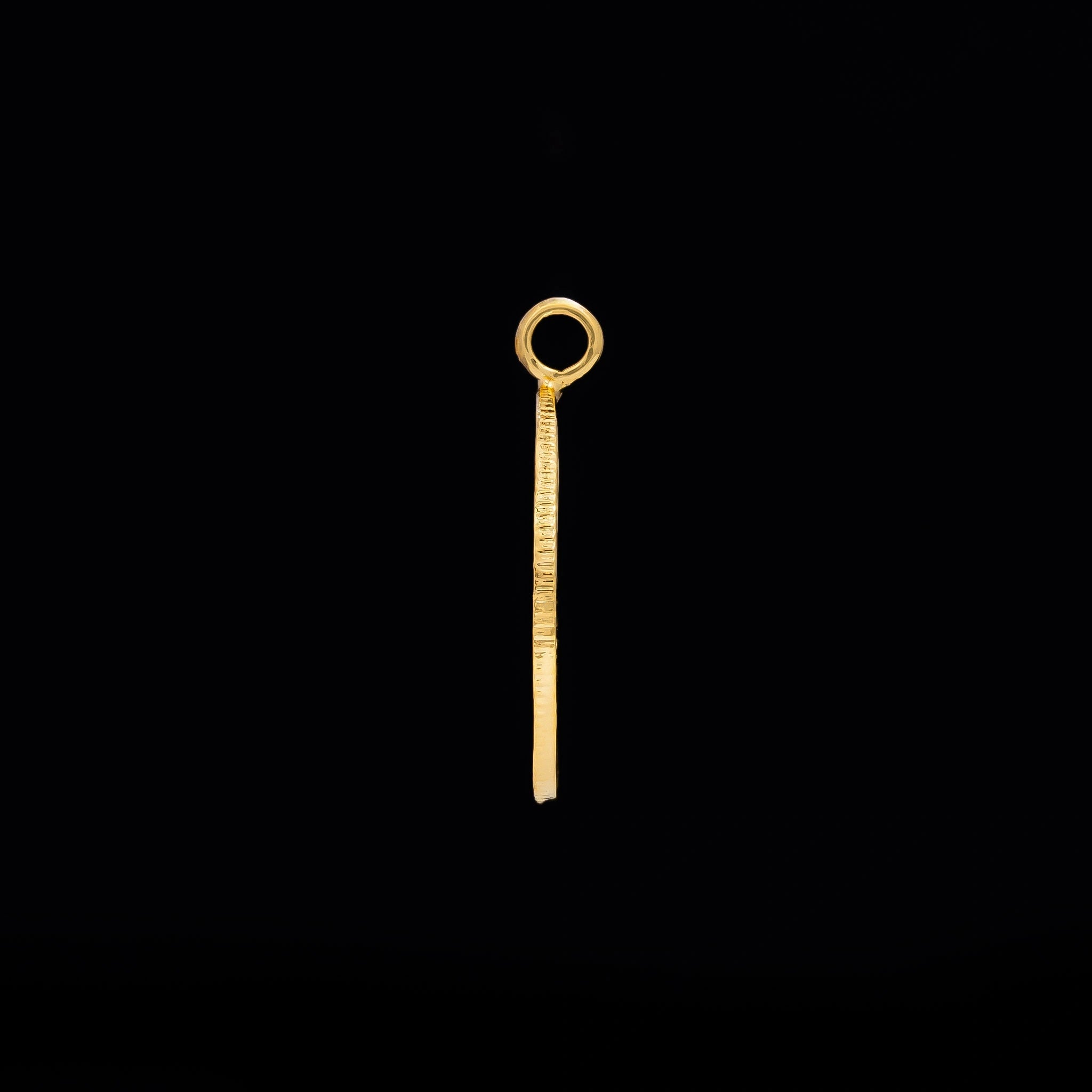 Gold Layered Coin Pendent PGLT290-09