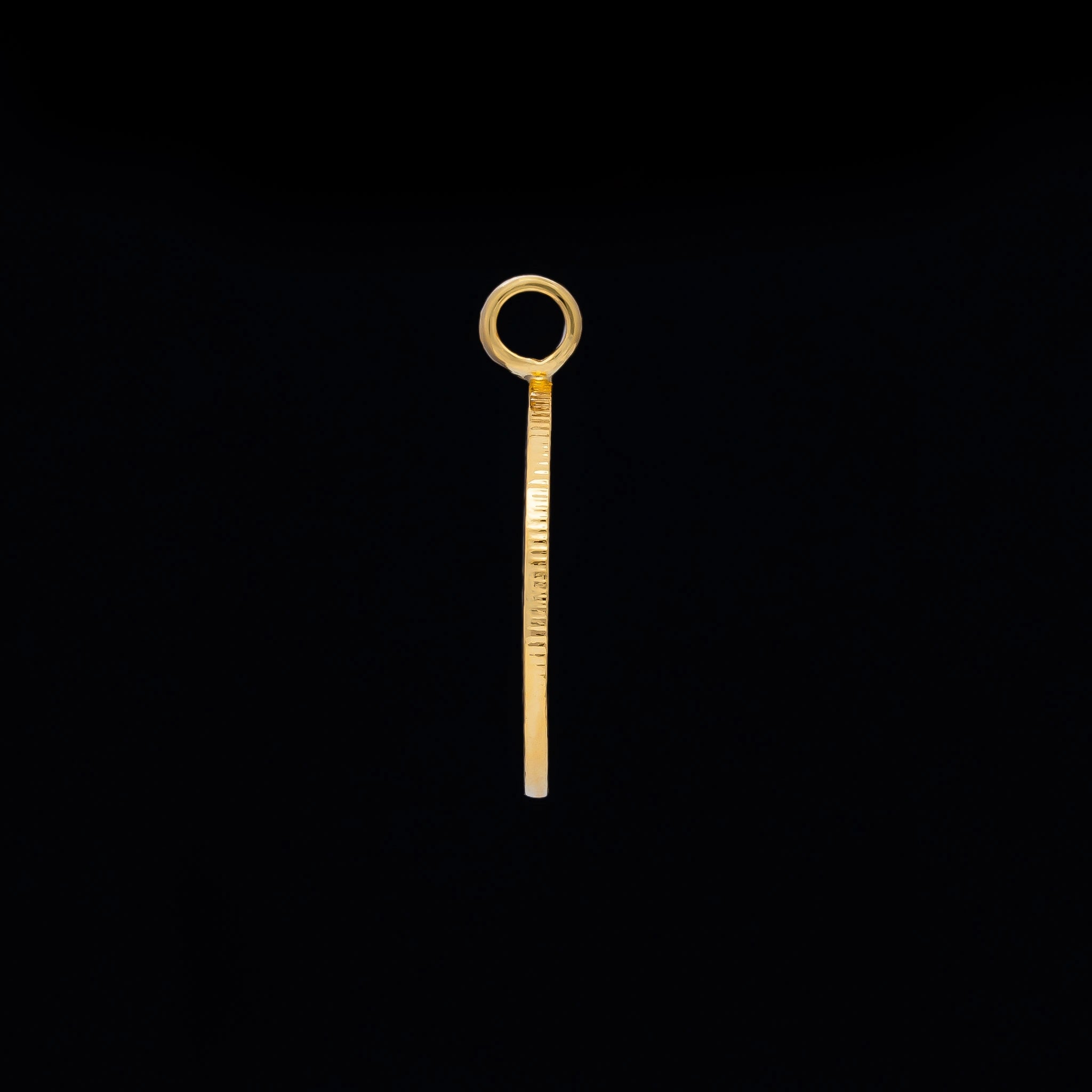 Gold Layered Coin Pendent PGLT282a-09