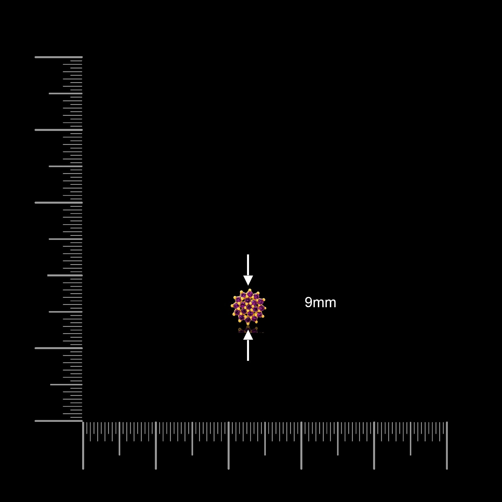 Stone Stud PSST526R-001