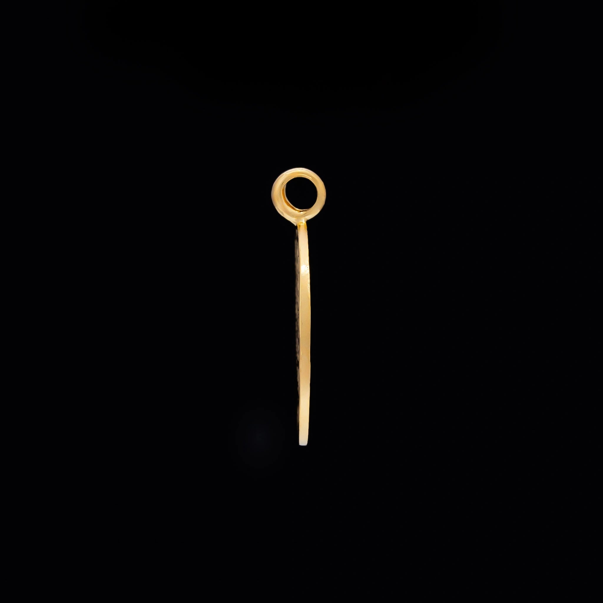 Gold Layered Coin Pendent PGLT97-06