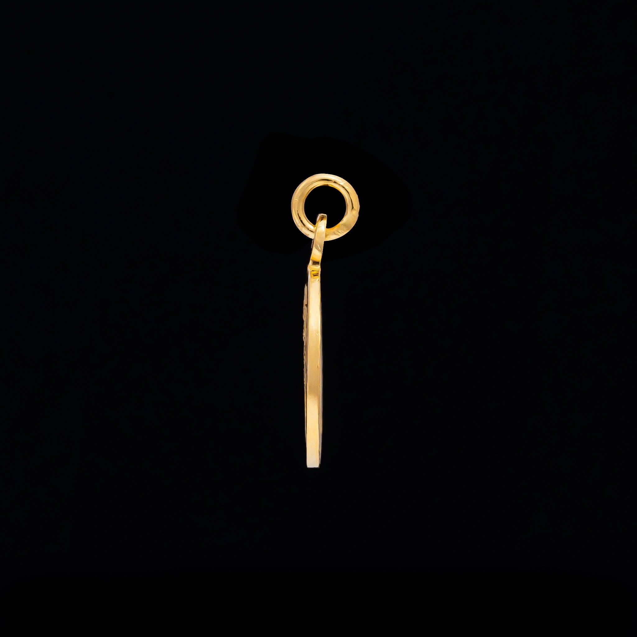 Gold Layered Coin Pendent PGLT100-06