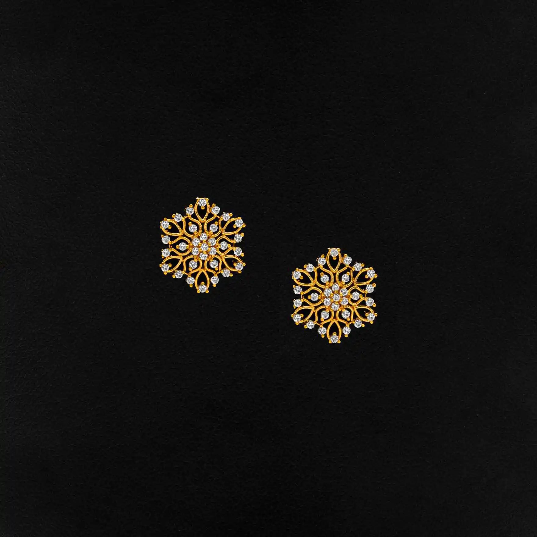 Elegant Earrings