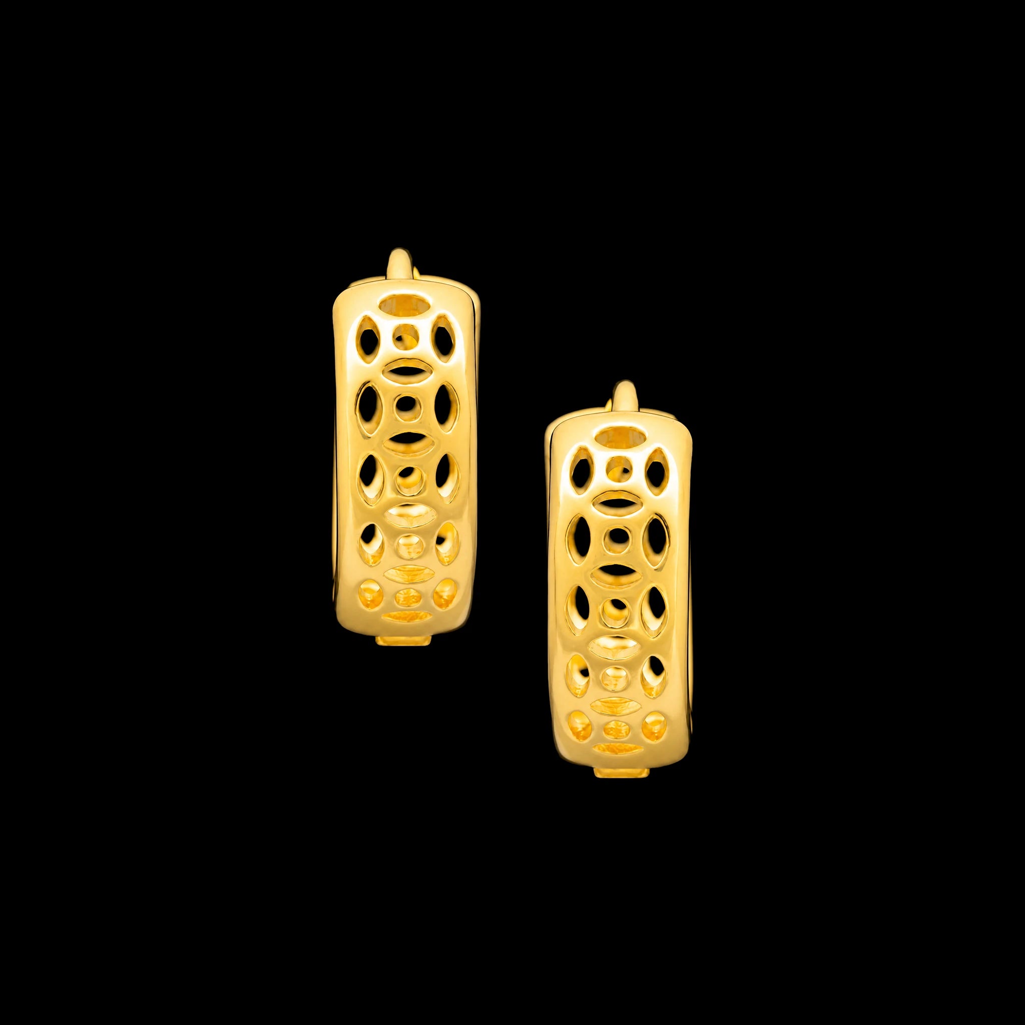 Golden Hoop Earring PGRST31-09