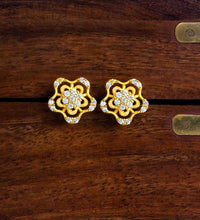 Stone Earring PSST392W-001